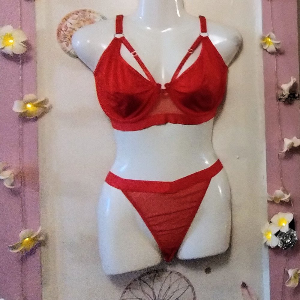 Strappy (XXL) Caged Lingerie Set - NWOT